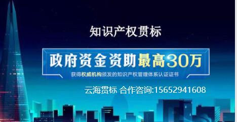 高質量知識產權貫標服務報價解析 合理投入，長遠回報